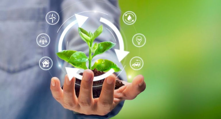 Ideias de sustentabilidade para empresa: 10 ideias práticas